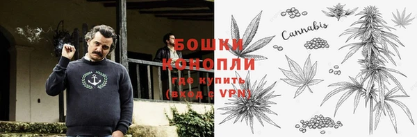 стафф Володарск