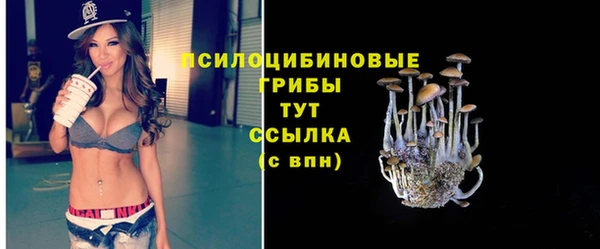 стафф Володарск